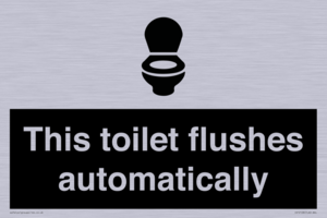 This toilet flushes automatically